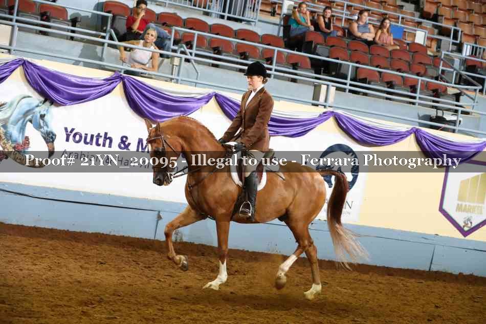 Proof Number 21YN_20095