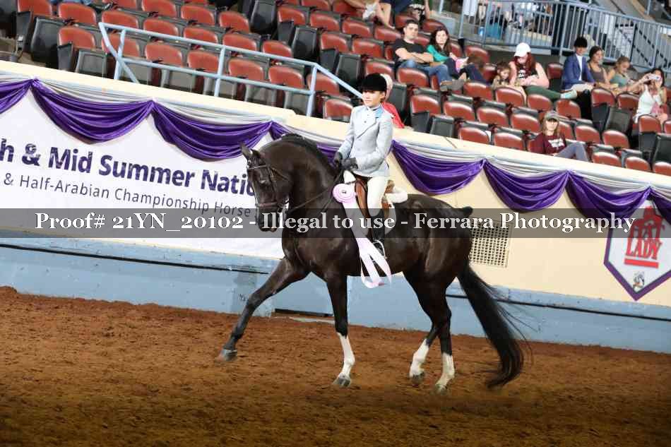 Proof Number 21YN_20102