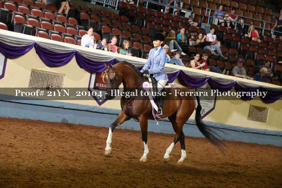 Proof Number 21YN_20104