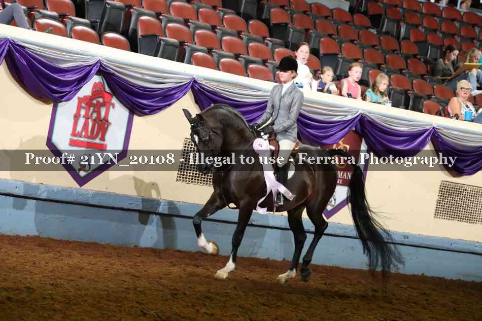 Proof Number 21YN_20108