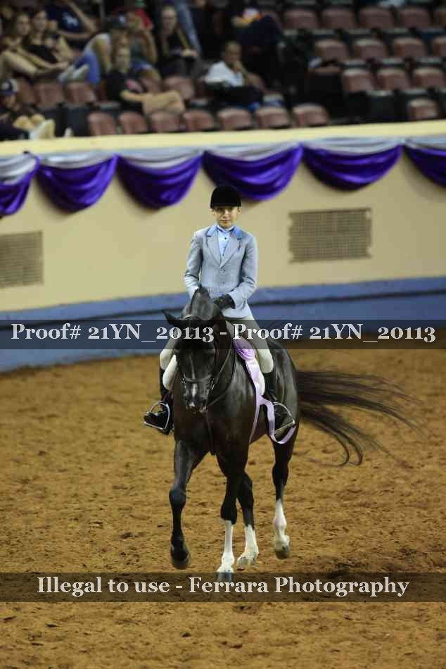 Proof Number 21YN_20113