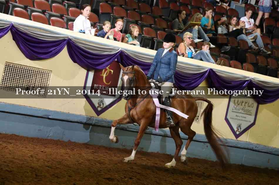 Proof Number 21YN_20114