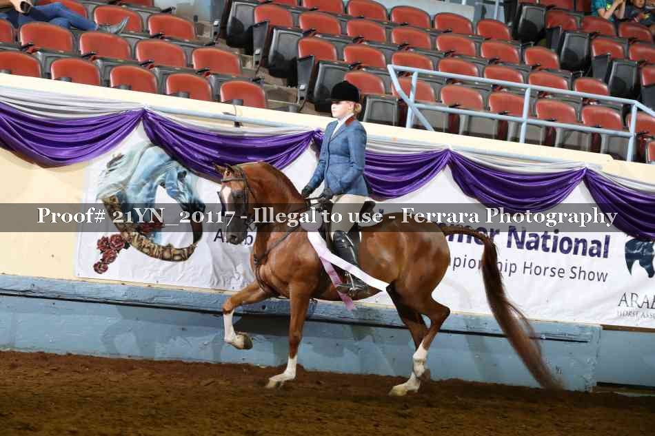Proof Number 21YN_20117