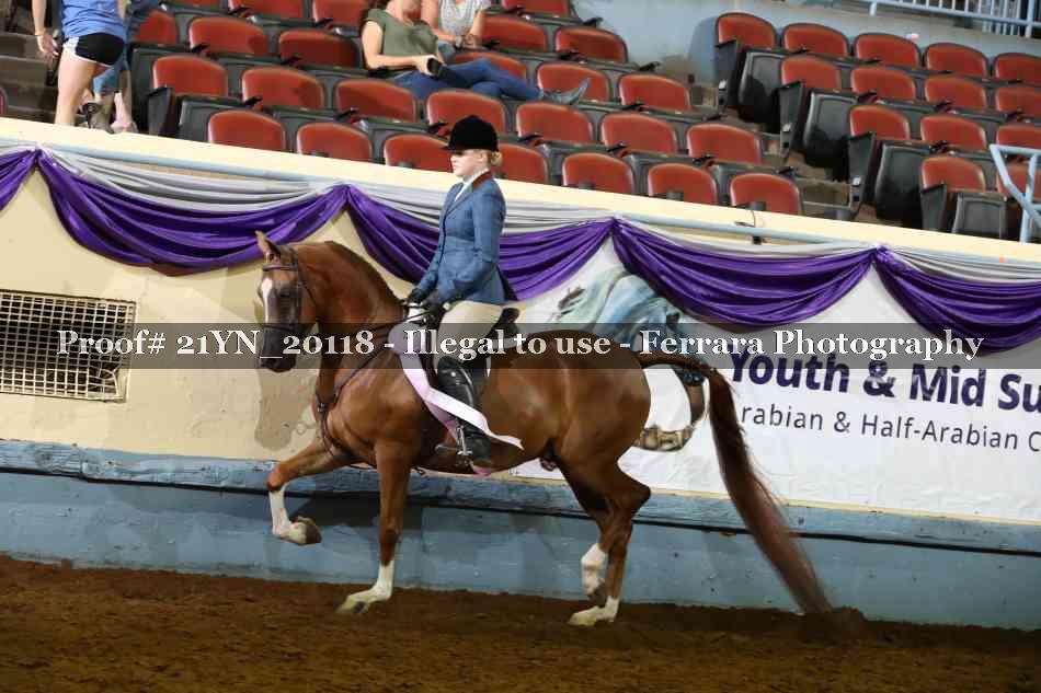 Proof Number 21YN_20118