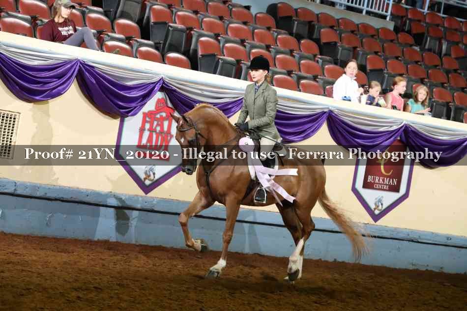 Proof Number 21YN_20120