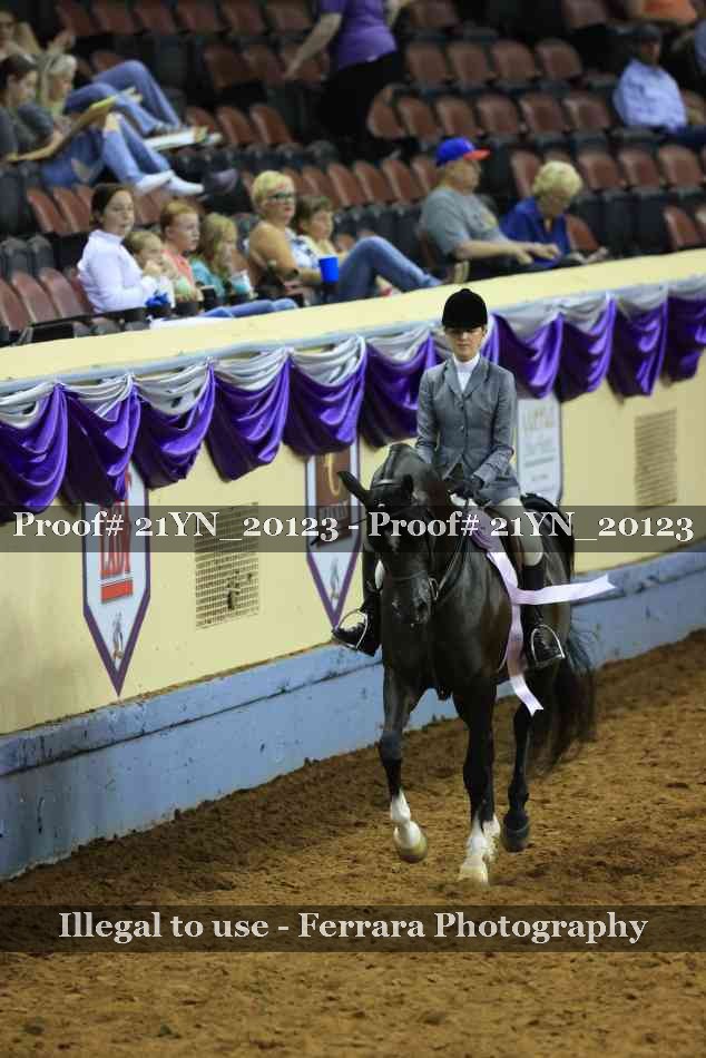 Proof Number 21YN_20123
