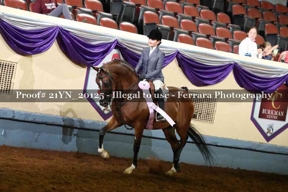 Proof Number 21YN_20125