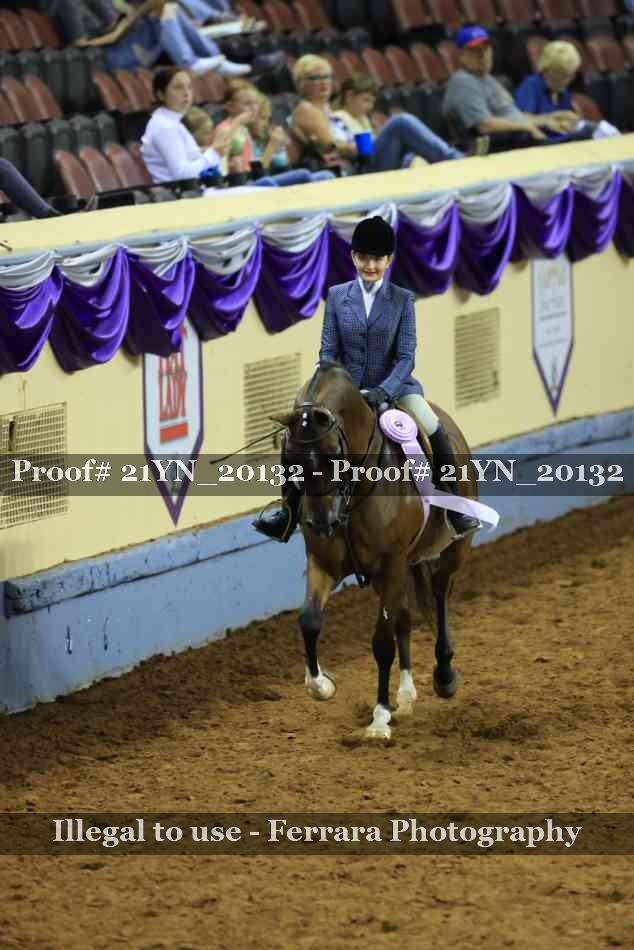 Proof Number 21YN_20132