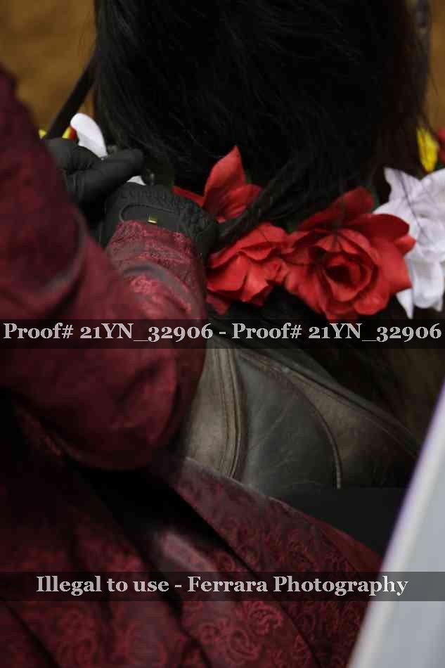 Proof Number 21YN_32906