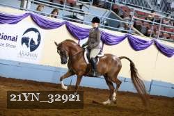 21YN_32921 thumbnail