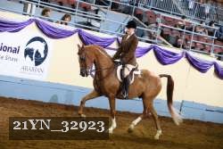 21YN_32923 thumbnail