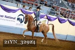 21YN_32924 thumbnail
