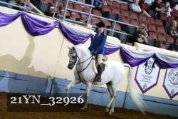 21YN_32926 thumbnail