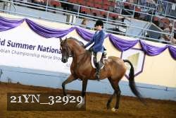 21YN_32929 thumbnail