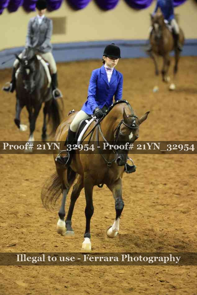 Proof Number 21YN_32954