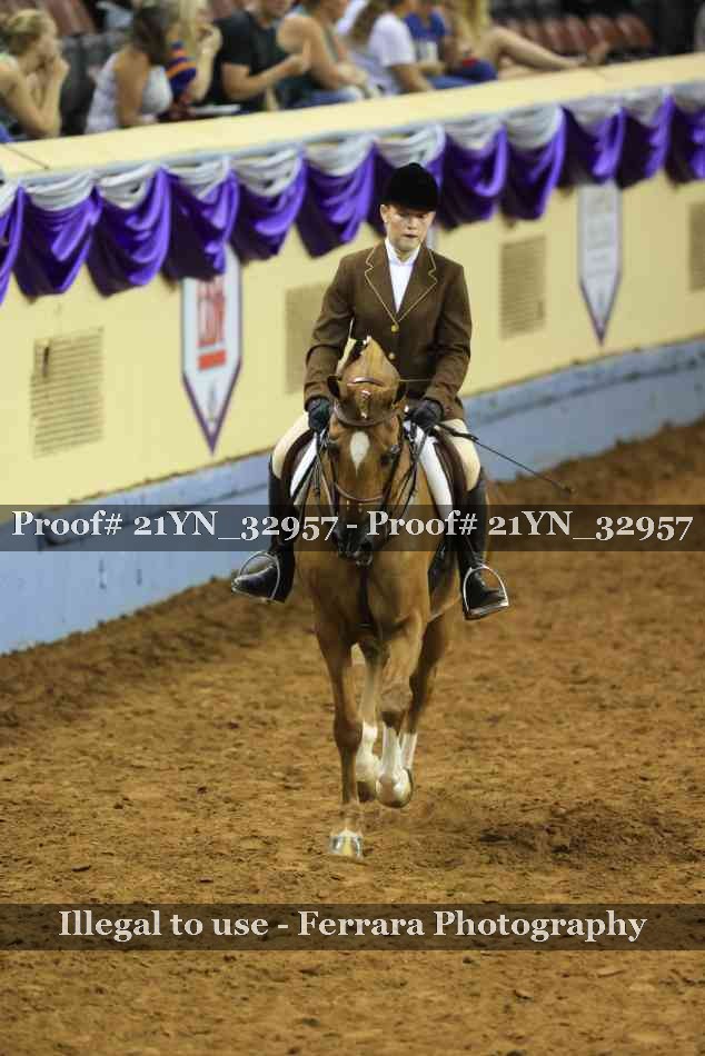Proof Number 21YN_32957
