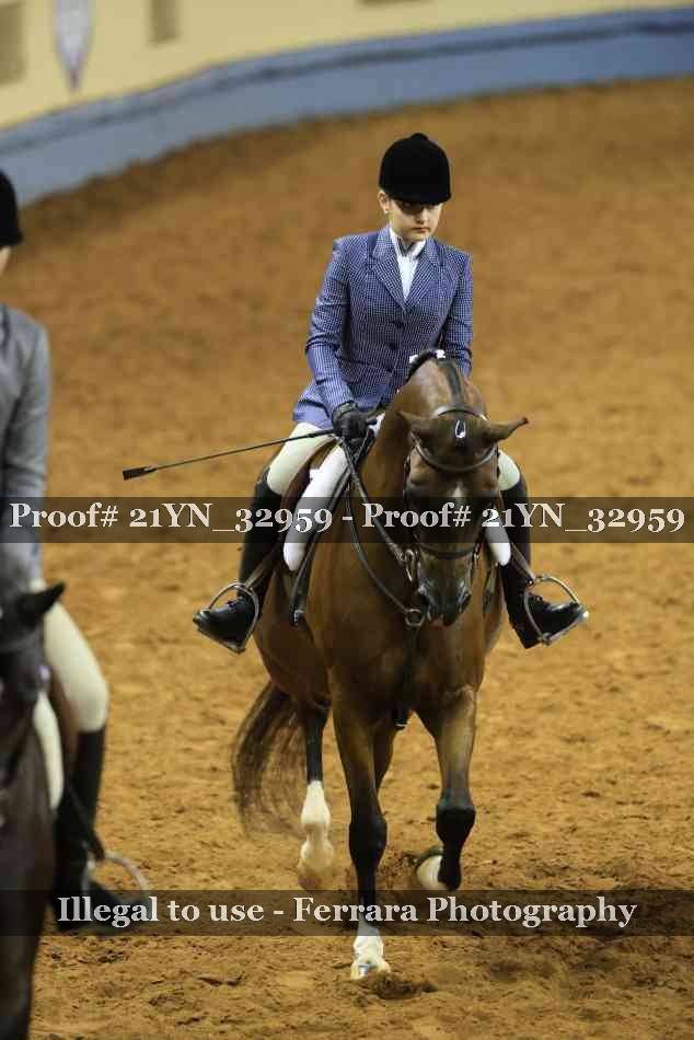 Proof Number 21YN_32959