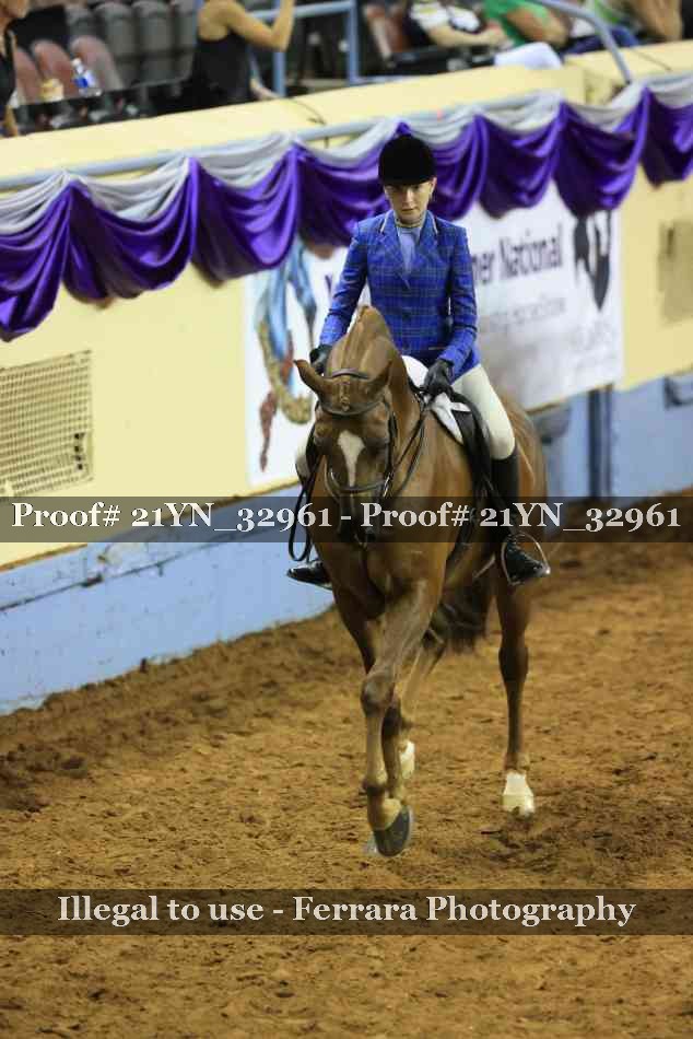 Proof Number 21YN_32961