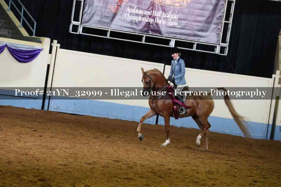 Proof Number 21YN_32999