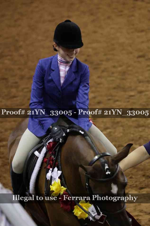 Proof Number 21YN_33005