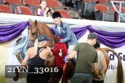 21YN_33016 thumbnail