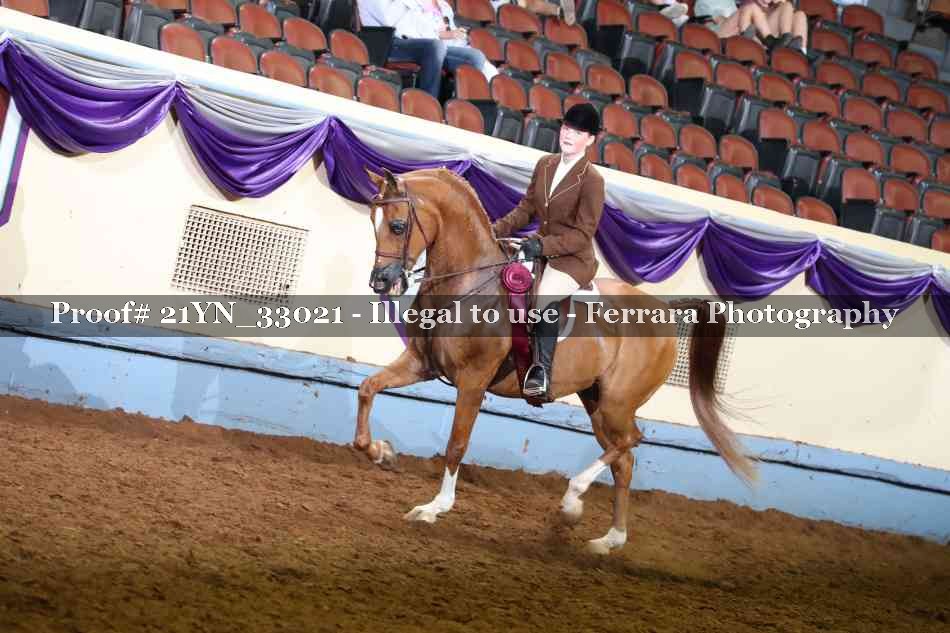 Proof Number 21YN_33021