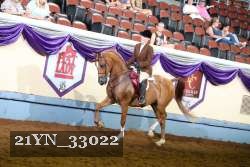 21YN_33022 thumbnail