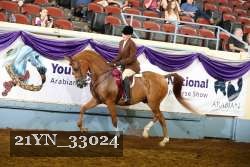 21YN_33024 thumbnail
