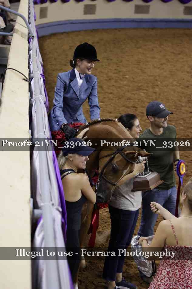 Proof Number 21YN_33026