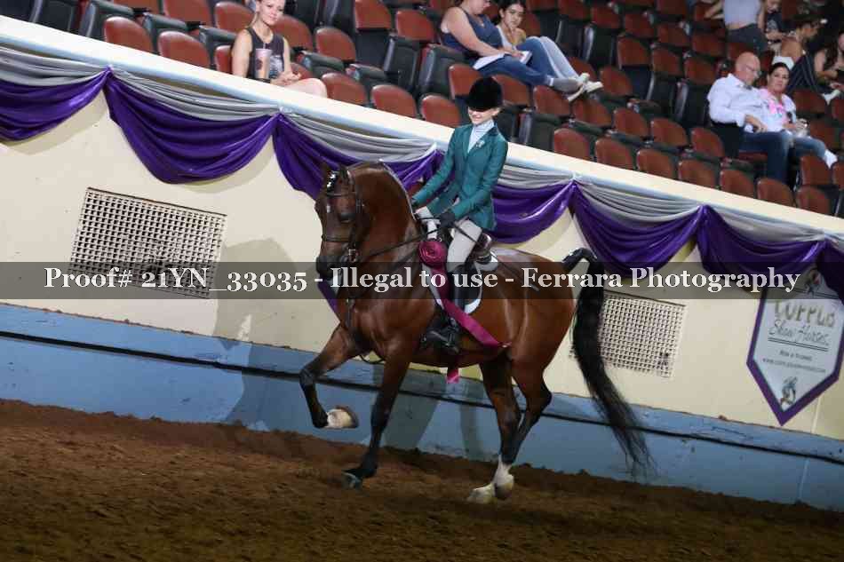 Proof Number 21YN_33035