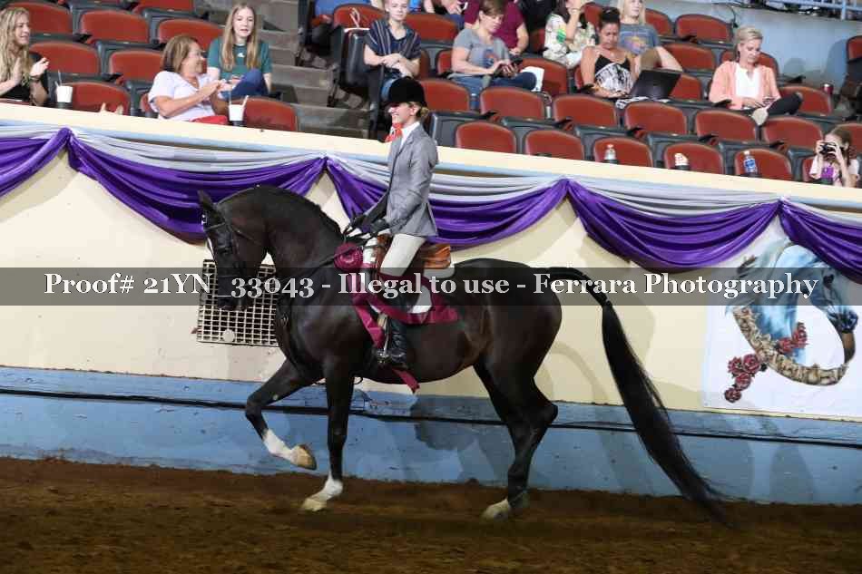 Proof Number 21YN_33043