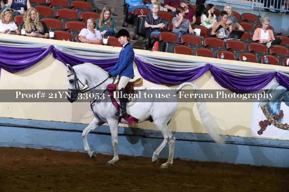 Proof Number 21YN_33053