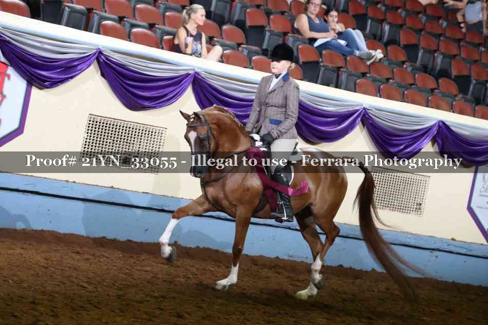 Proof Number 21YN_33055