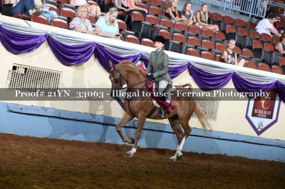 Proof Number 21YN_33063
