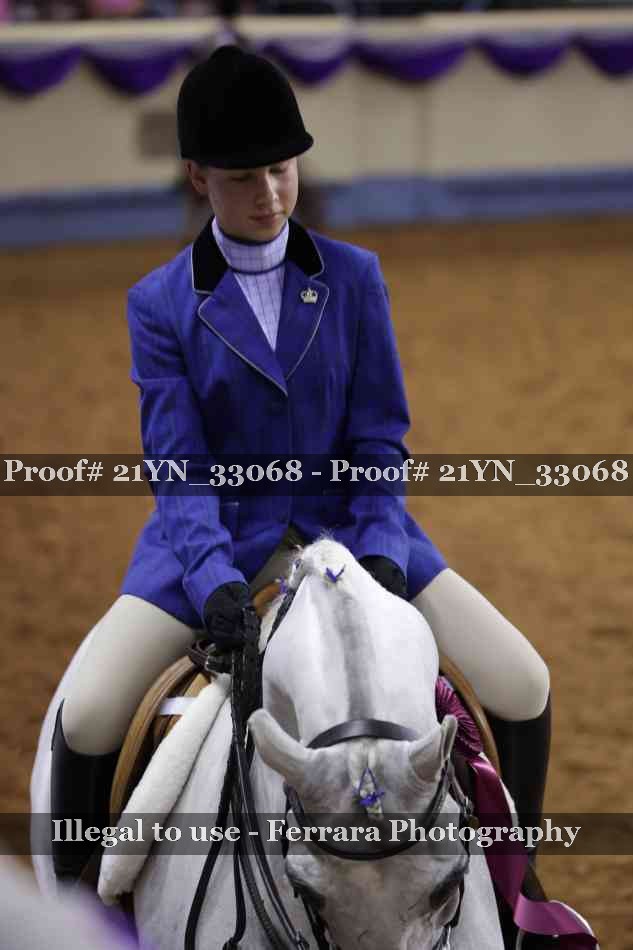 Proof Number 21YN_33068