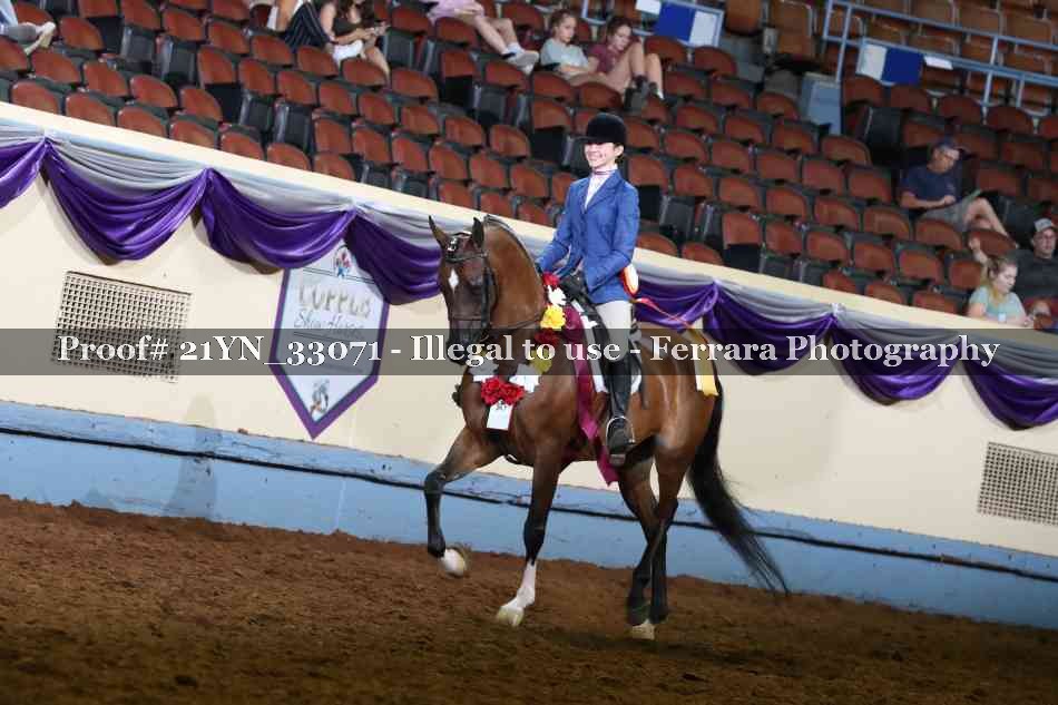 Proof Number 21YN_33071