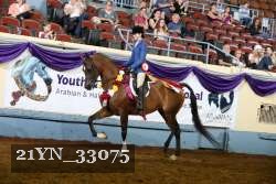 21YN_33075 thumbnail