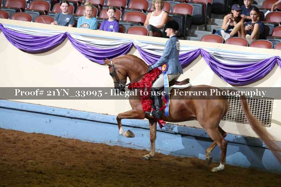 Proof Number 21YN_33095
