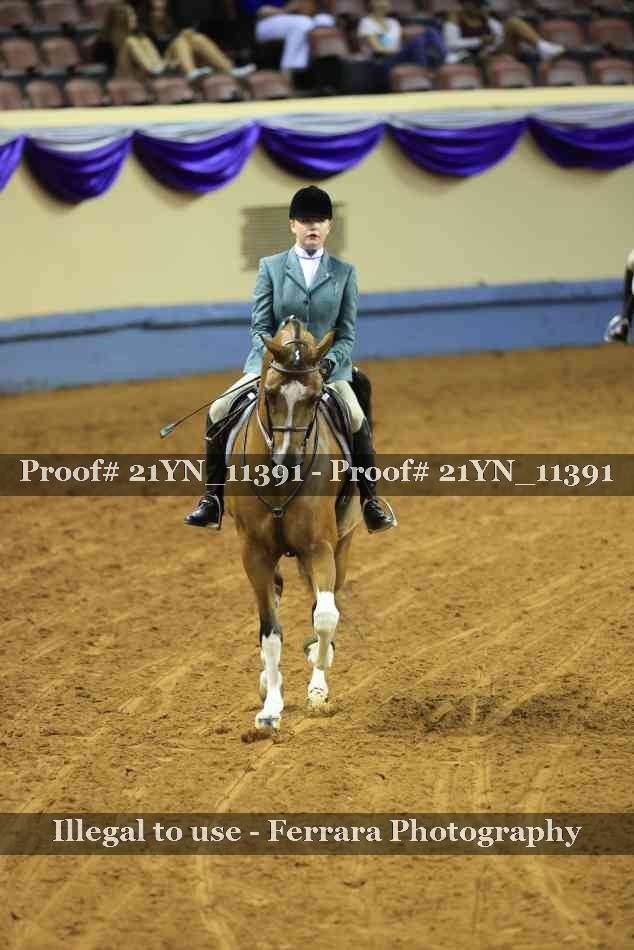 Proof Number 21YN_11391