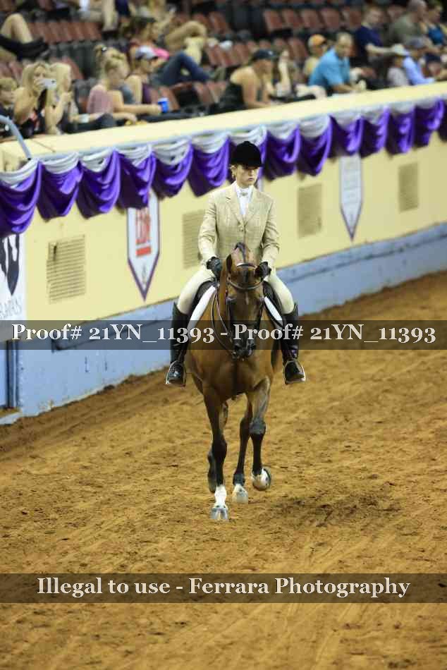 Proof Number 21YN_11393