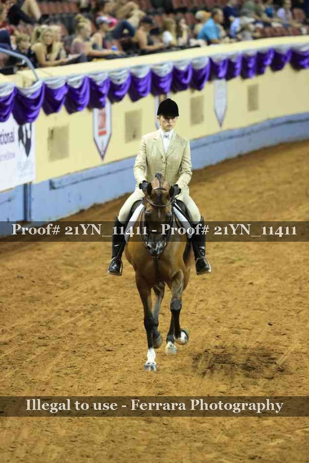 Proof Number 21YN_11411