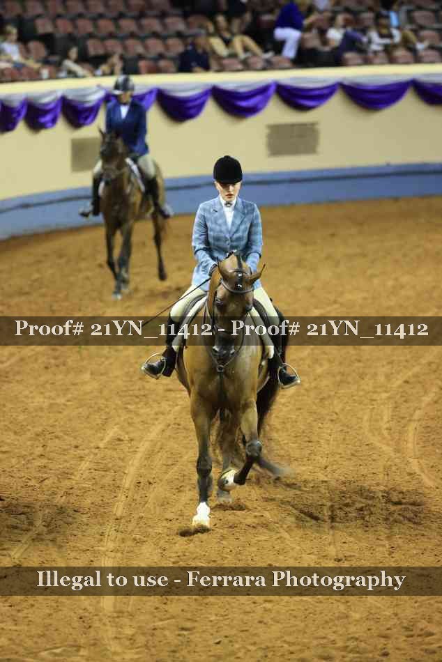 Proof Number 21YN_11412