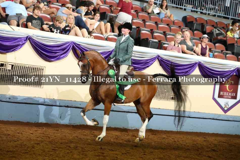Proof Number 21YN_11428