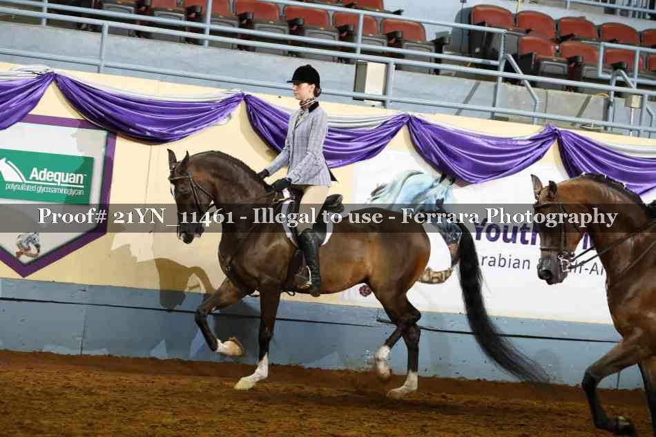 Proof Number 21YN_11461