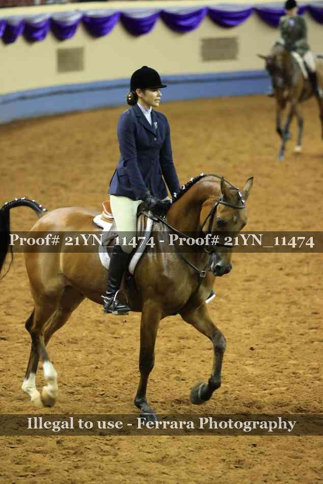 Proof Number 21YN_11474
