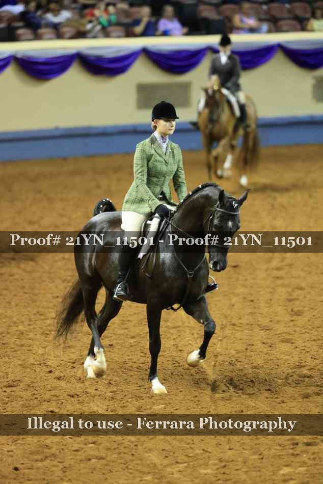Proof Number 21YN_11501