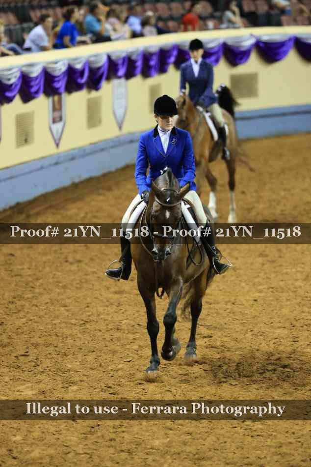 Proof Number 21YN_11518