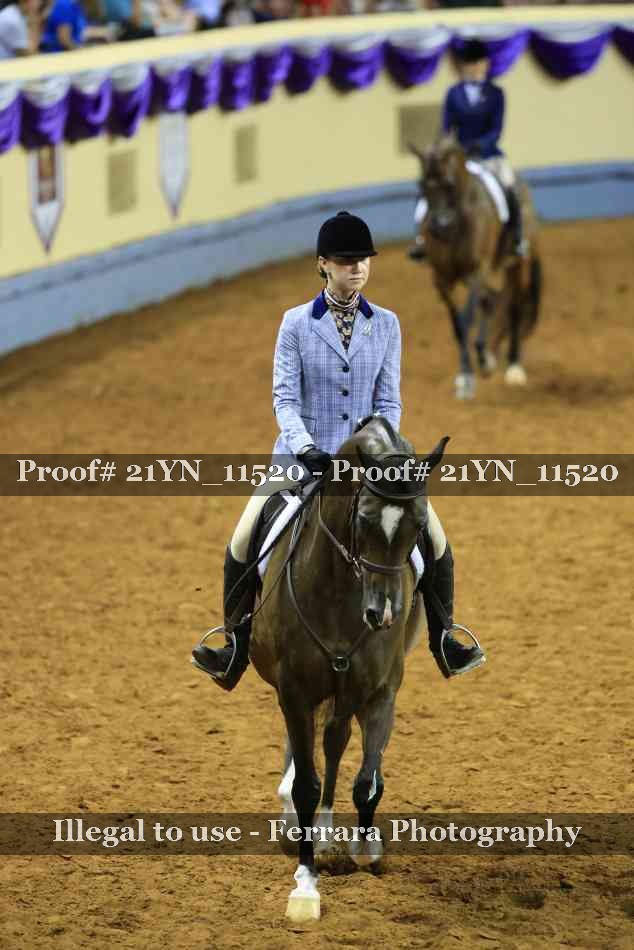 Proof Number 21YN_11520