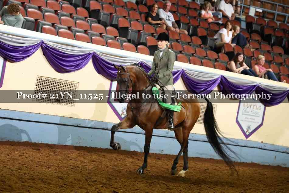 Proof Number 21YN_11525