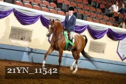 21YN_11542 thumbnail
